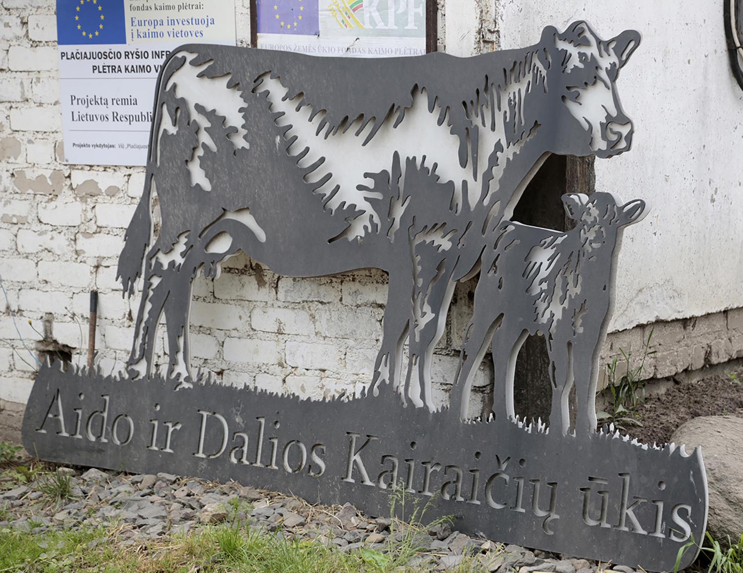 Savų investicijų poreikis gavus paramą sumažėja / Ričardo Pasiliausko nuotr.