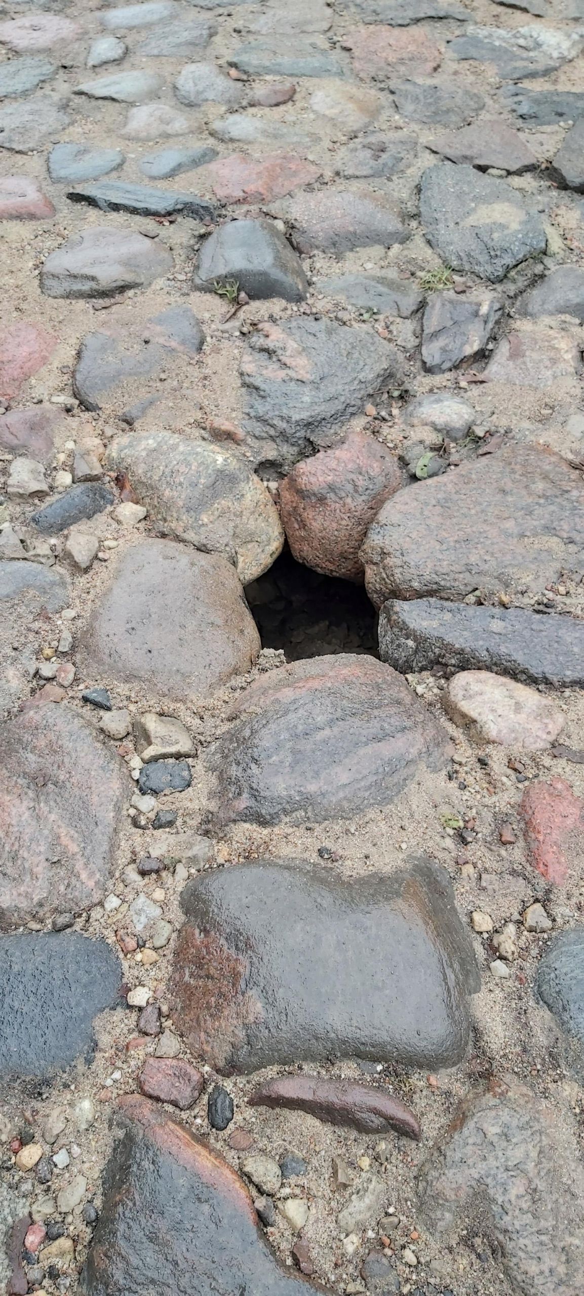 Senamiestyje – smegduobė? / Einant grindiniu