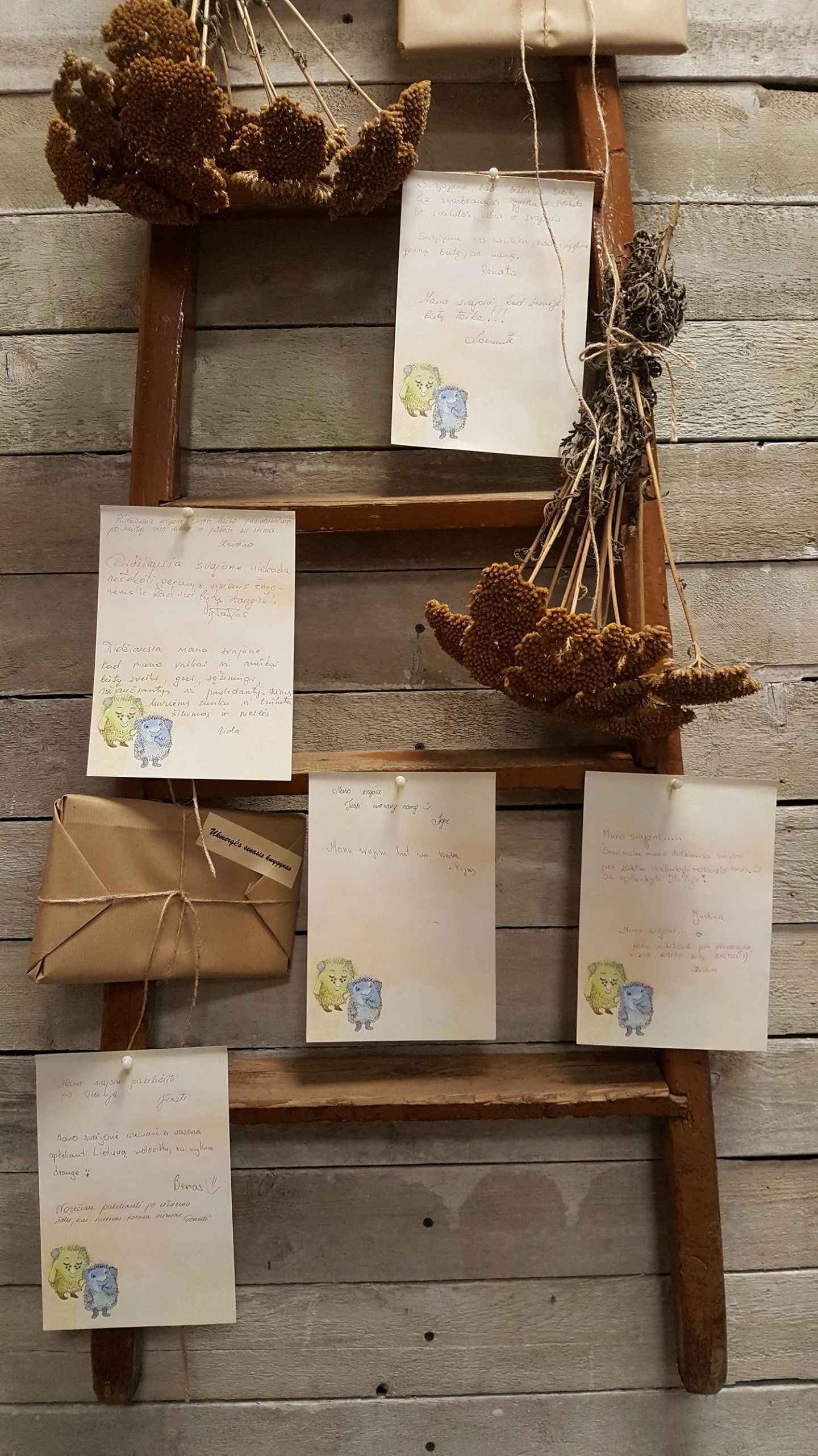 Senojo knygyno svajonės / Kristina Pažūsienė