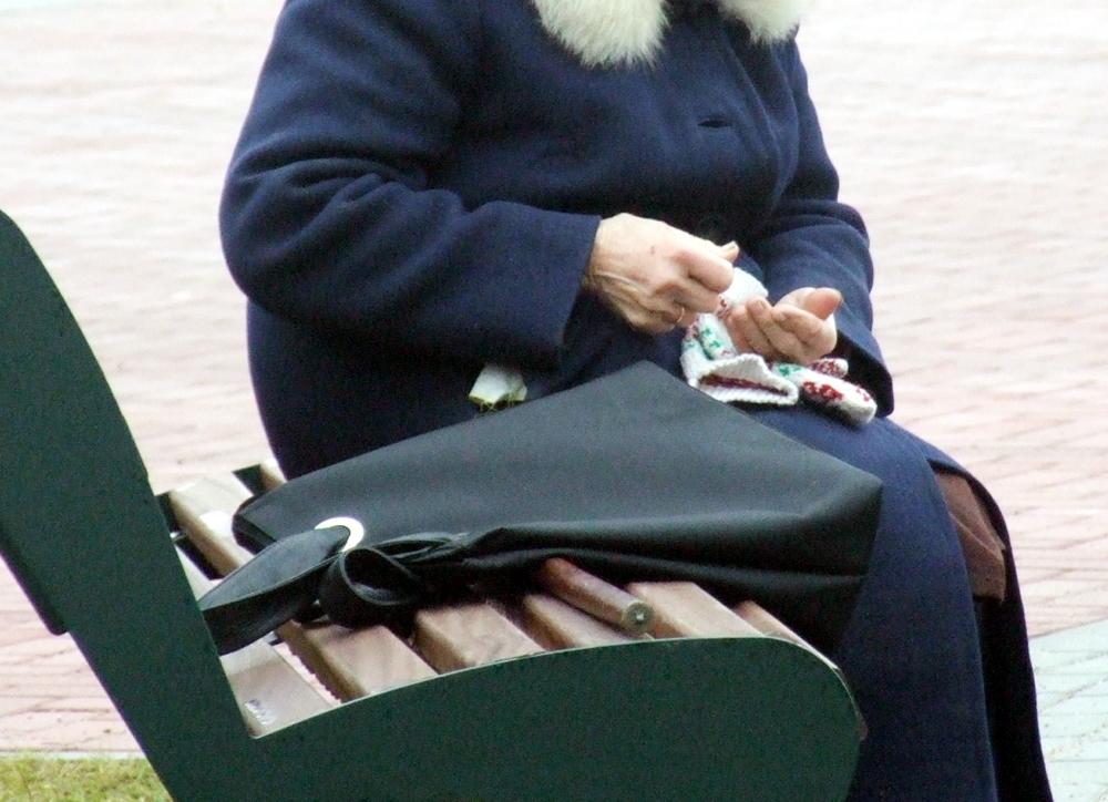 Siekiama pensijas didinti nuosekliai / Siekiama pensijas didinti nuosekliai