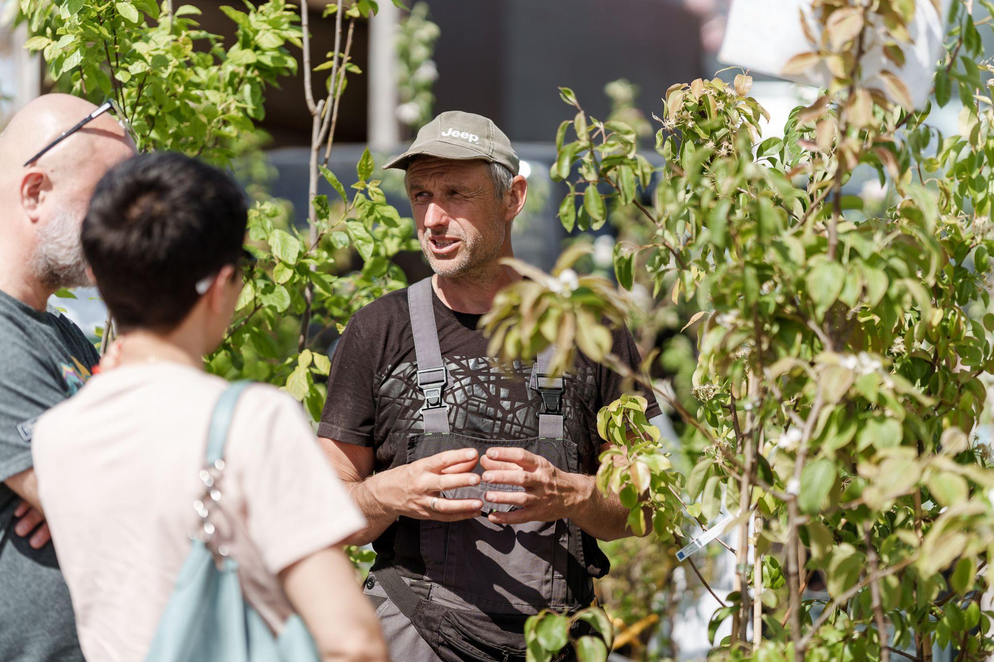 Specializuota sodinukų mugė „Aš sodinu“ spalio 8 dieną atvyksta į Ukmergę /