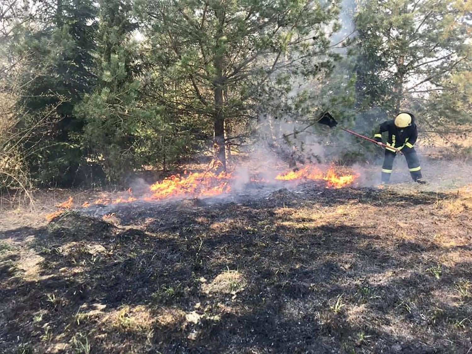 Su žolės degintojais kovoja ir aplinkosaugininkai / Masiškai deginama pernykštė žolė – ir aplinkosaugininkų