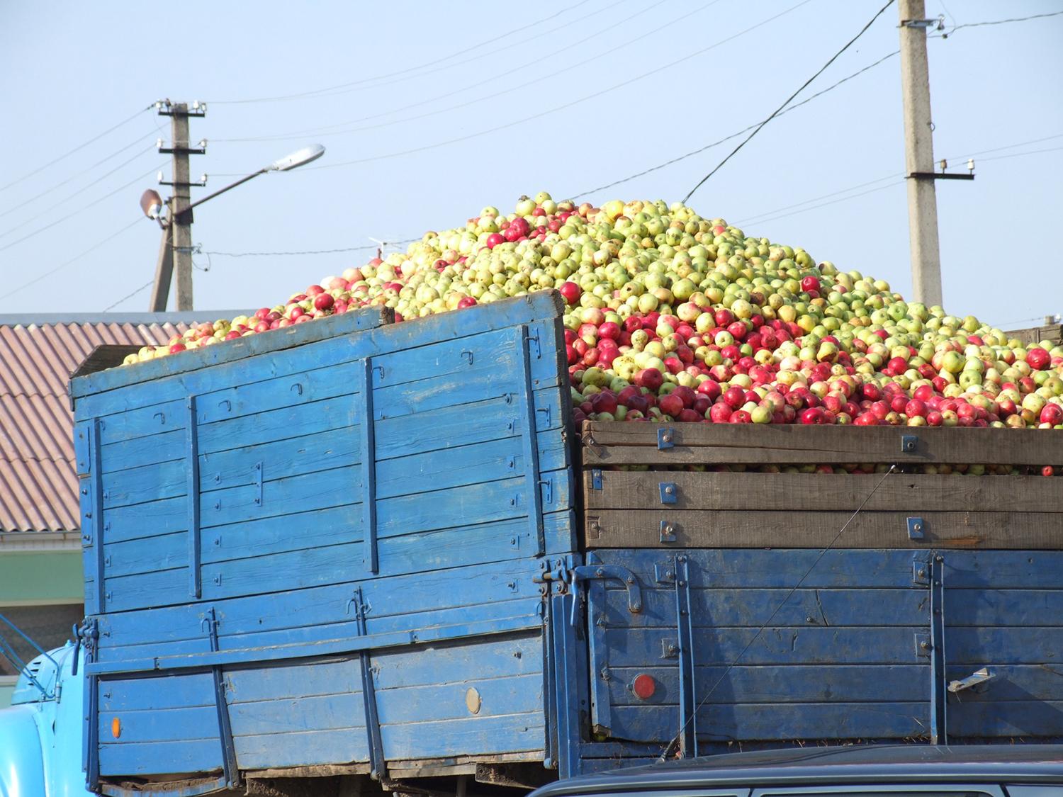 Sulčių kaina didelė
