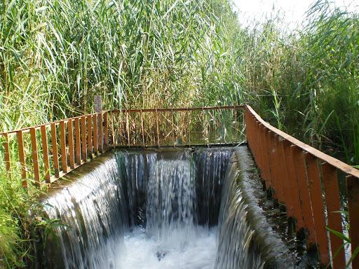 Susirūpino senkančiu Žirnajos upeliu /