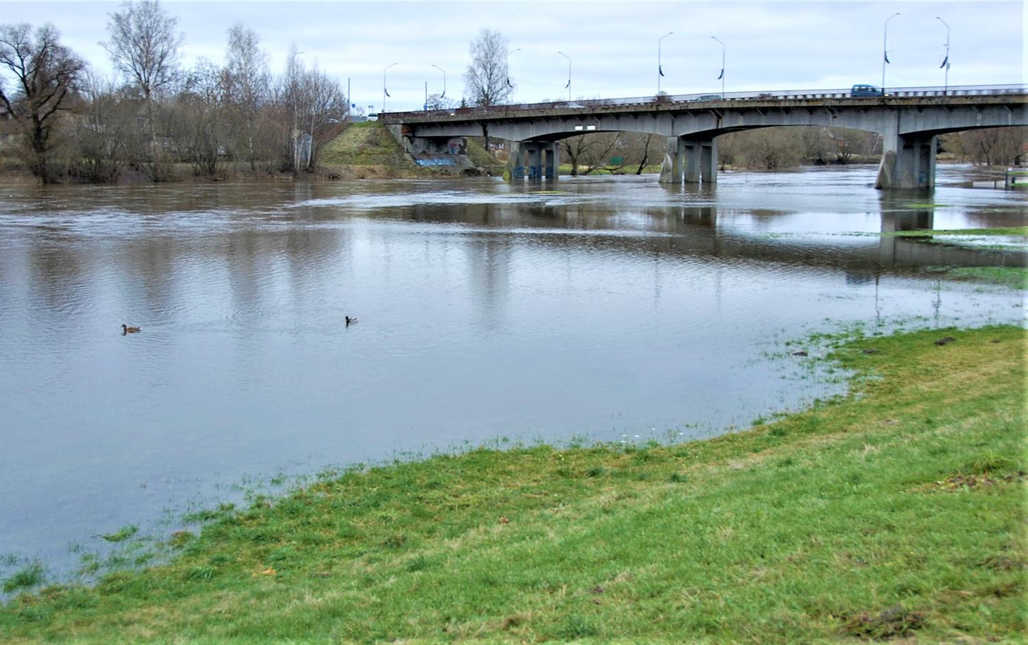 Šventojoje potvynis / Gedimino Nemunaičio nuotr. Iš krantų išsiliejo Šventoji.