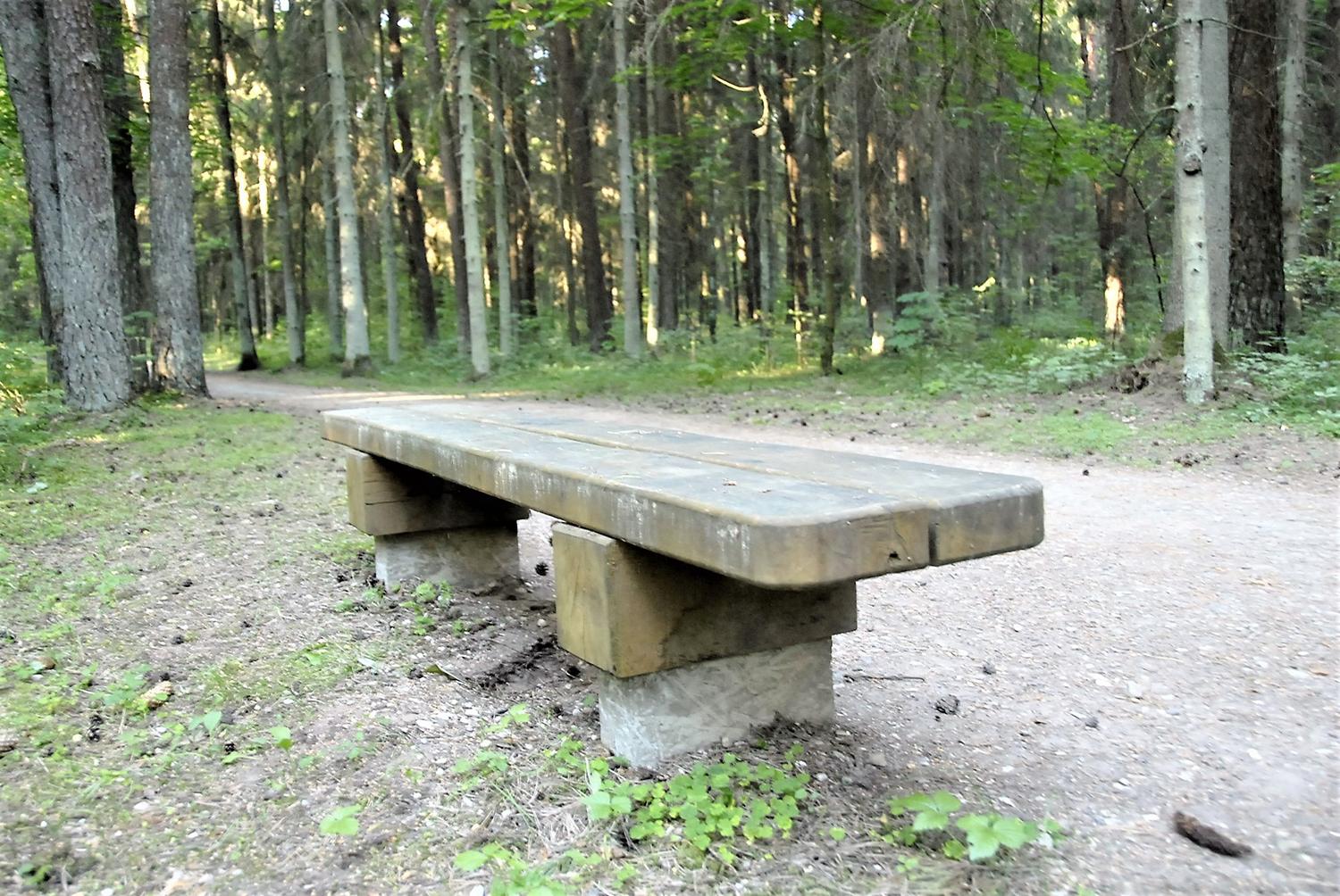 Takus ateityje atnaujins / Gedimino Nemunaičio nuotr.