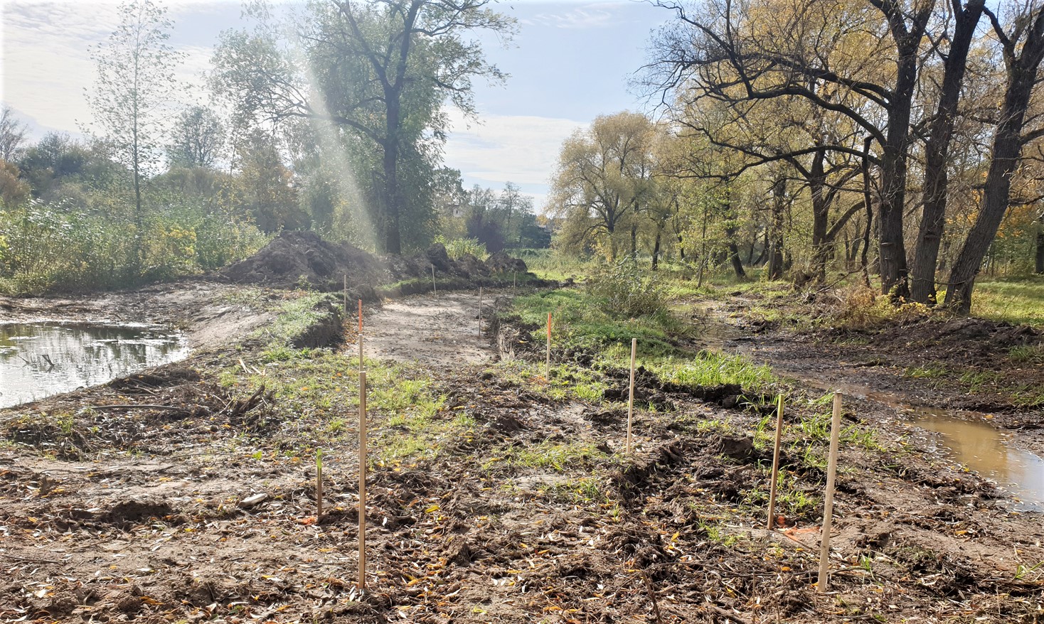 kad takas paupyje potvynius atlaikys / Šventosios upės pakrantė pasikeis.  Autorės nuotr.