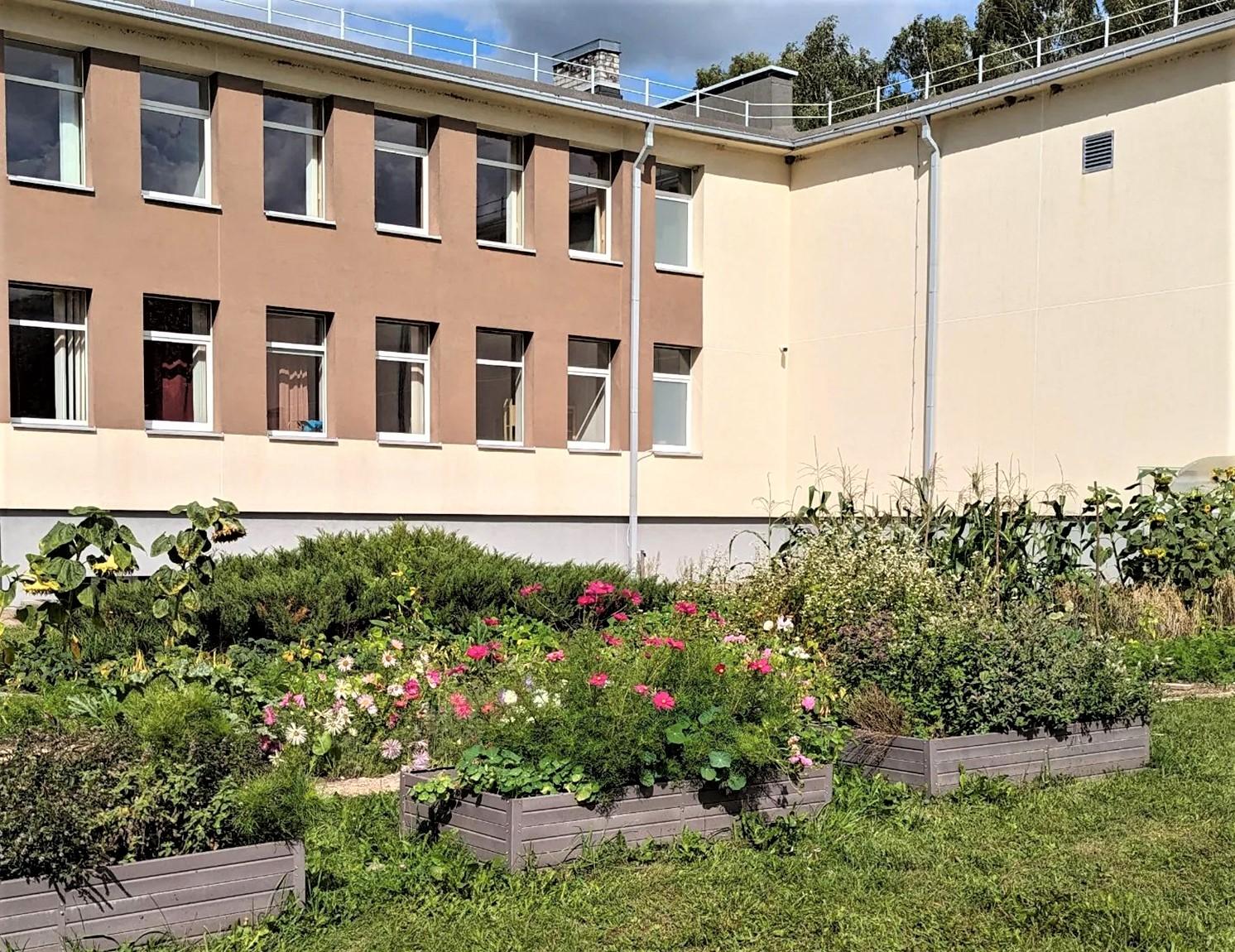 „Tėkmės“ mokykla kuria bendruomenės sodą / Mokiniai puoselėja savo daržą.