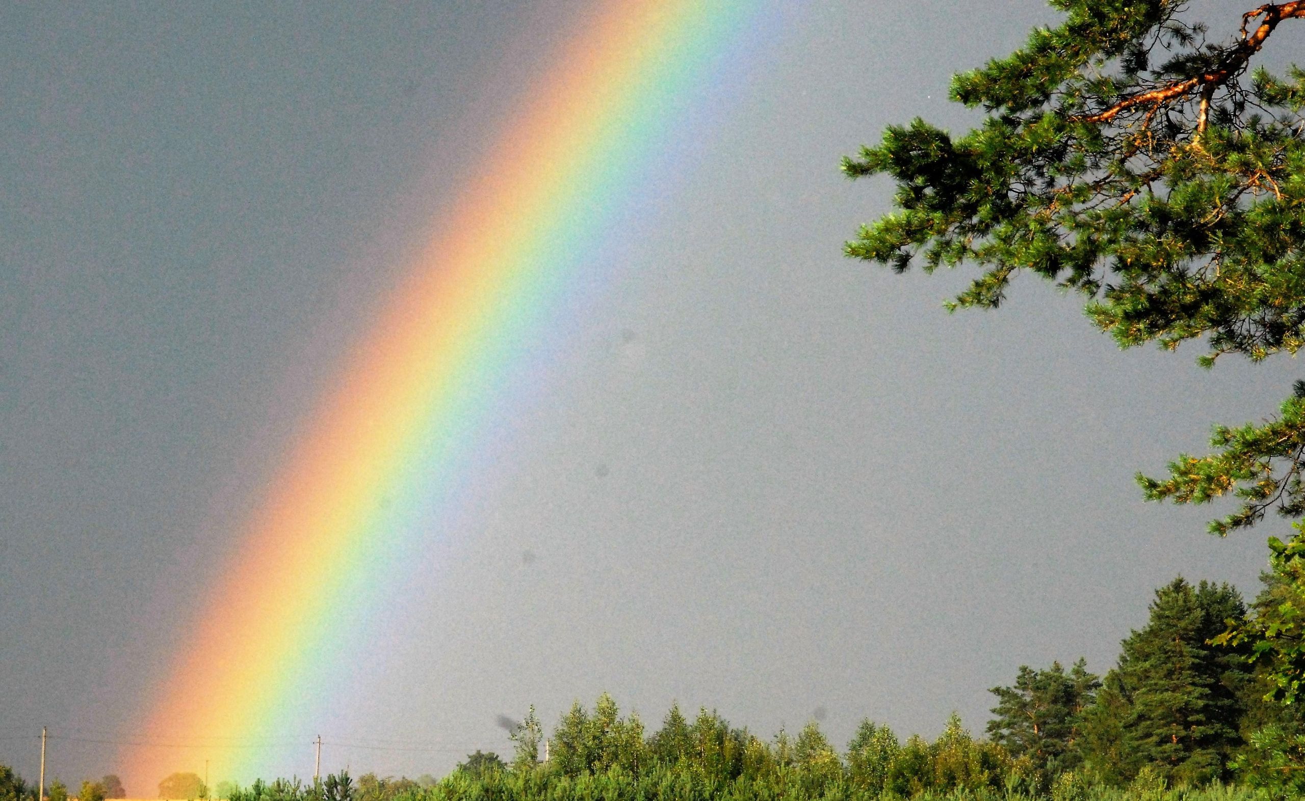 Tęsia būstų rajono našlaičiams paieškas /