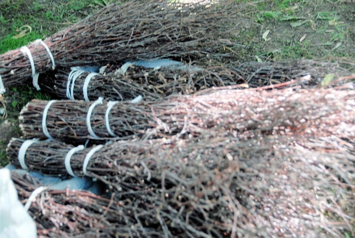 Trenkė su šluota /