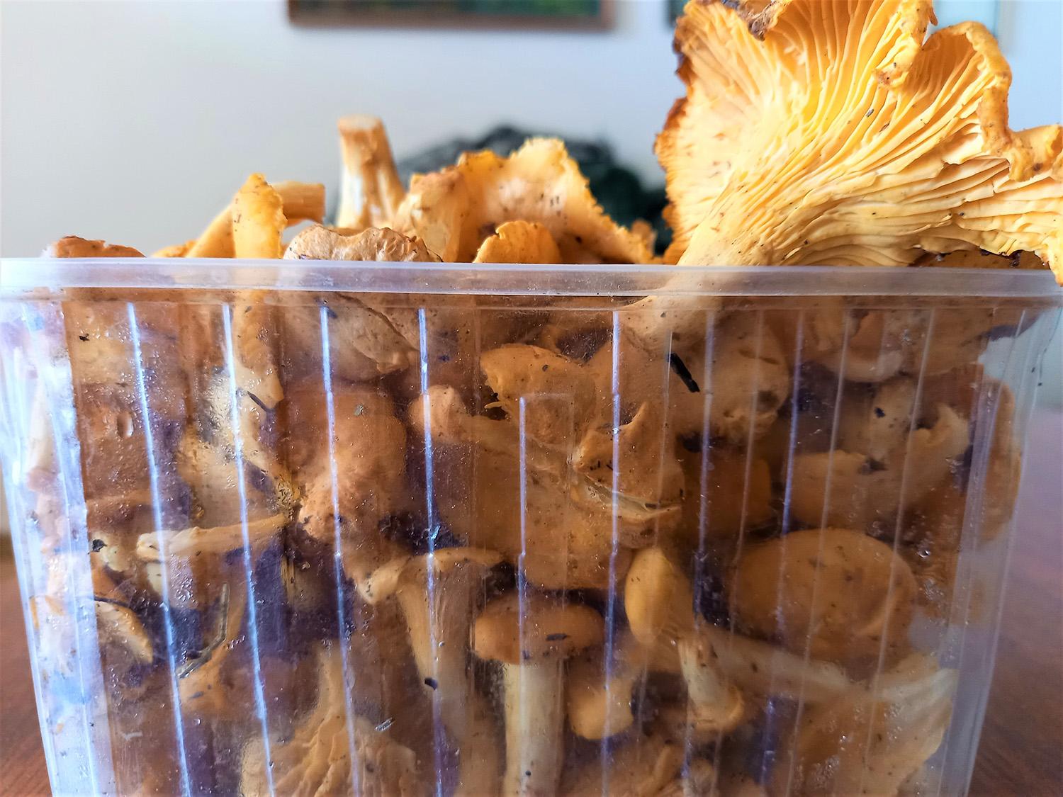 Turguje tarp miško gėrybių šiuo metu karaliauja voveraitės / Voveraičių kainos panašios