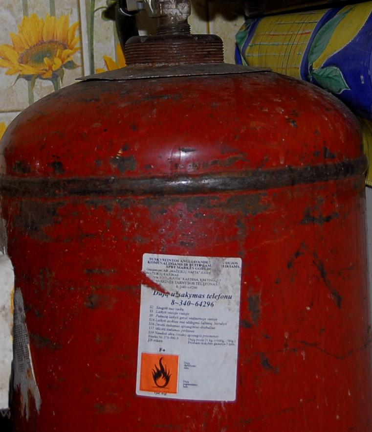 Ugniagesių dėka senolė neprarado namų /