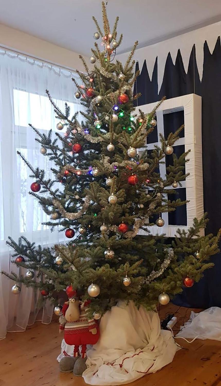 Ūkininko dovanotos žaliaskarės papuošė švietimo įstaigas / Ugdymo įstaigos laukia Kalėdų pasipuošusios.