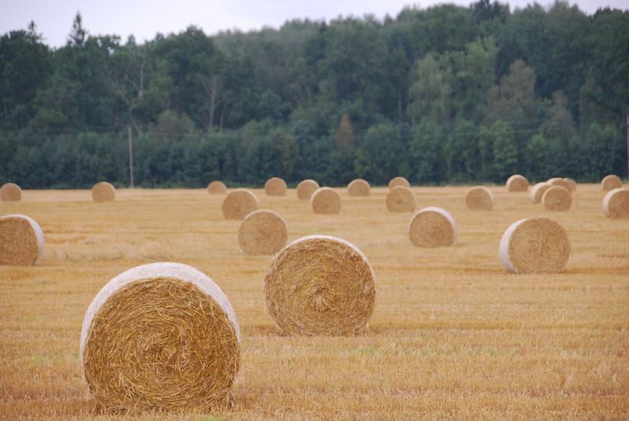 Ūkininkų tikslas 2022 metais - tikslioji žemdirbystė /