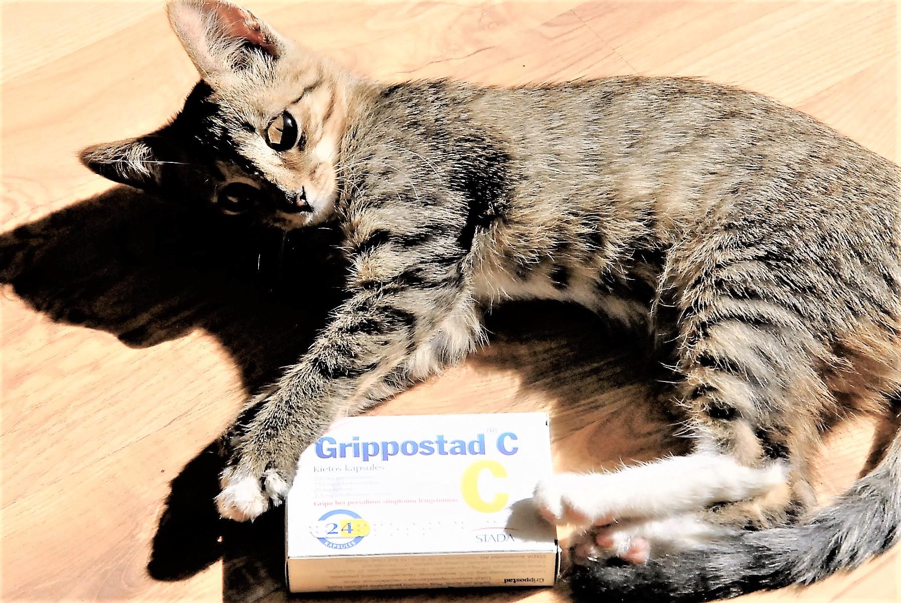 Ukmergėje paskelbta gripo epidemija /