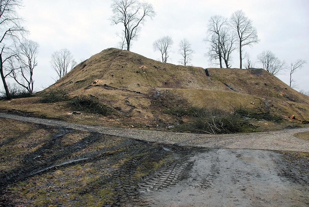 Ukmergiškiai gedi piliakalnio medžių / Taip dabar atrodo piliakalnis. Gedimino Nemunaičio nuotr.