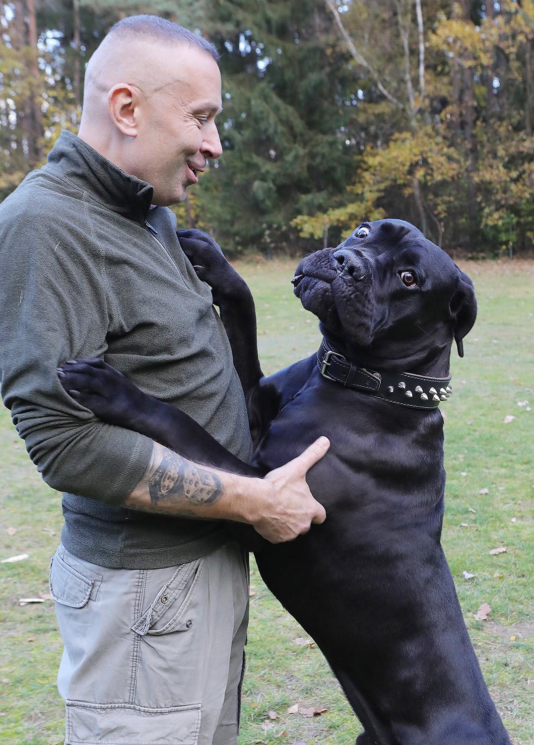 Ukmergiškio augintinis veržiasi į čempionus pasaulyje / Ukmergiškio Vadimo Zelevo augintinis šiųmetėje pasaulinėje šunų parodoje tapo vicečempionu.  V. Zelevo asmeninio archyvo nuotr.