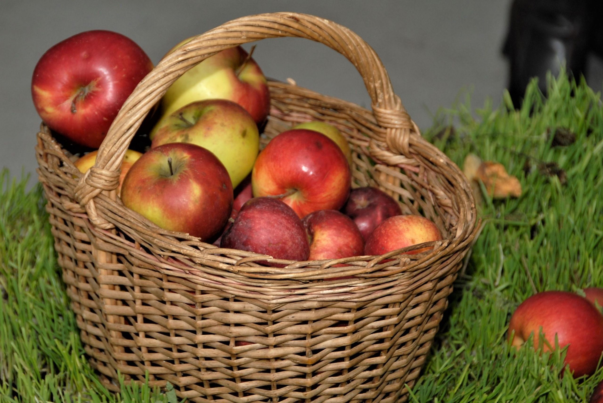 Už prekybą pakelėje galima susilaukti ir baudos /