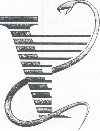 Vaistų pakuotės neišardė /