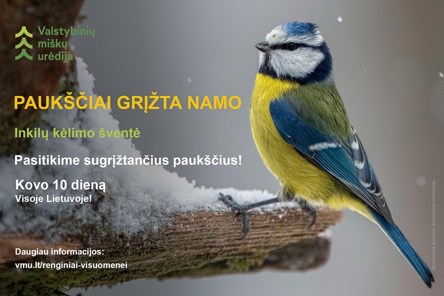 Vyks inkilų kėlimo šventė /