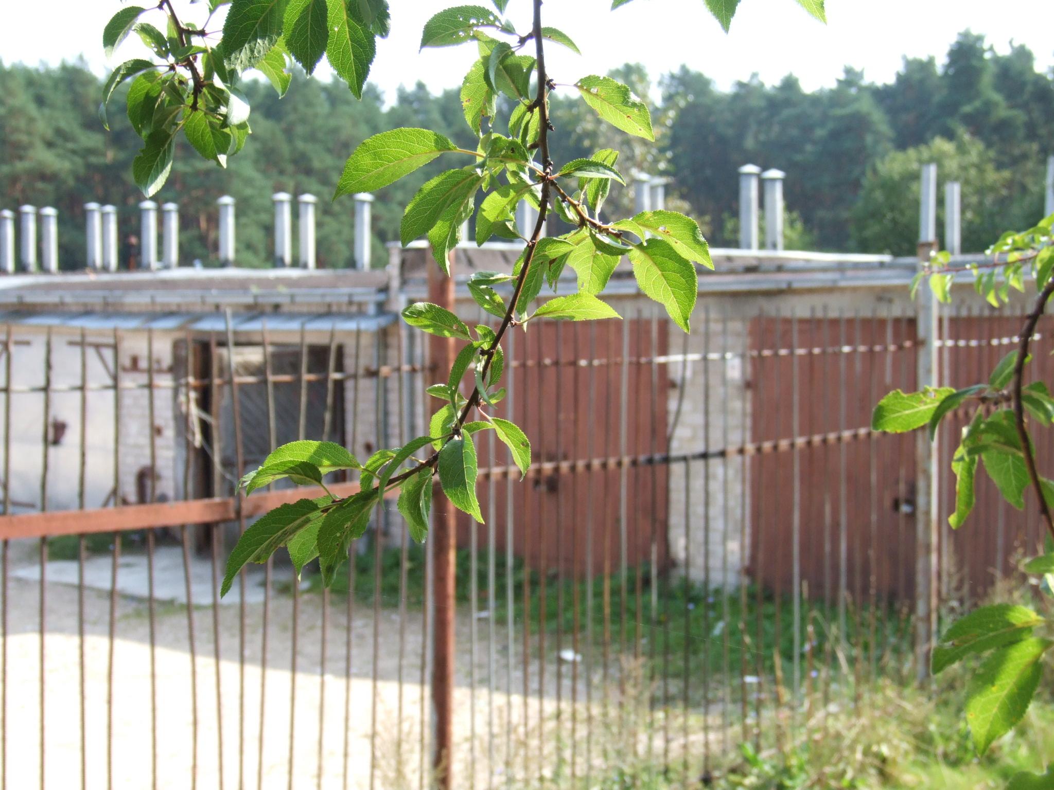 Vyksta akcija „Garažiukas“ /