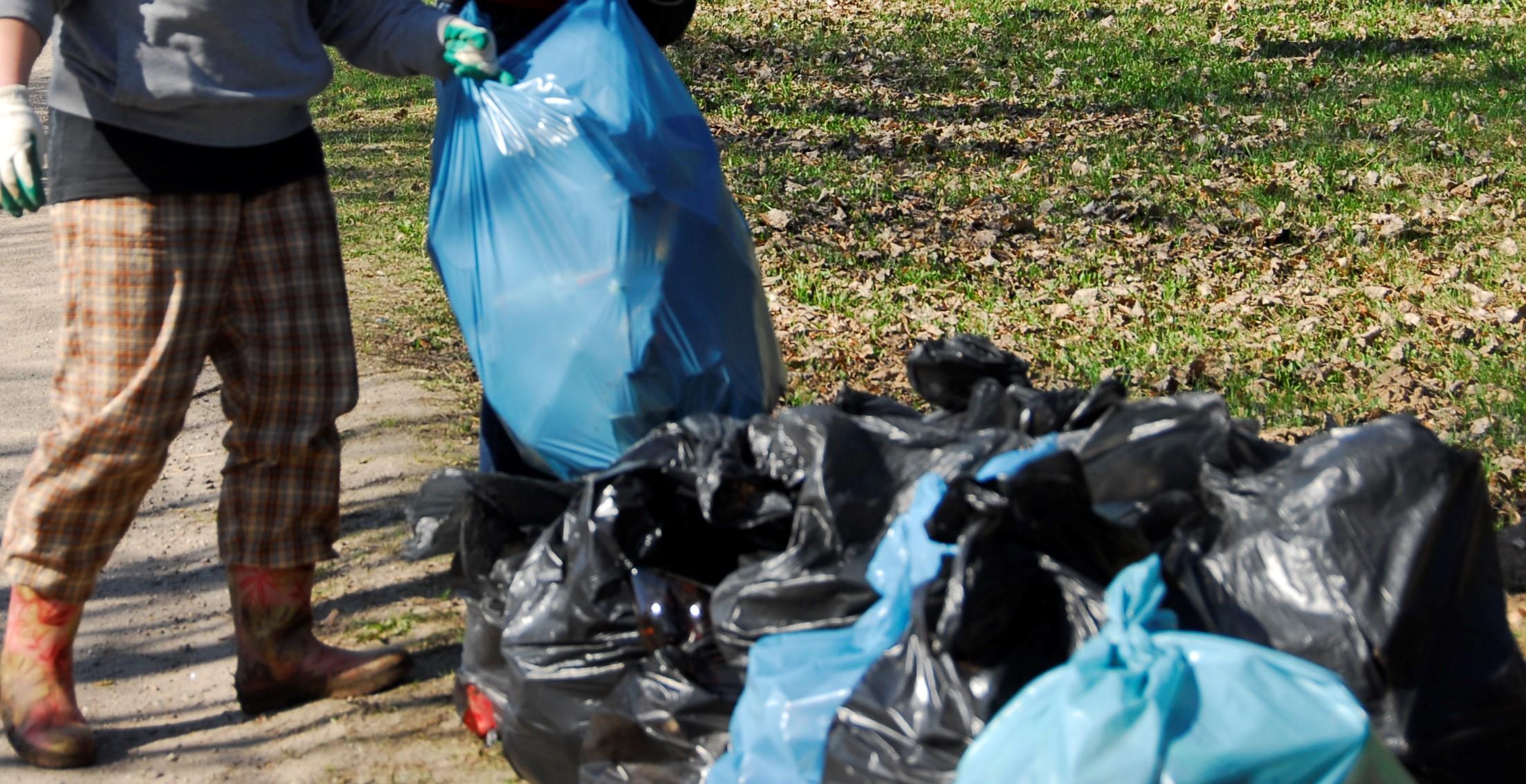 Žalienos jau vežamos /