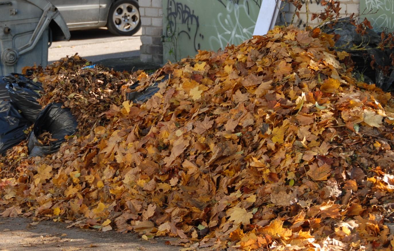 Žalienų išvežimu teks pasirūpinti patiems /