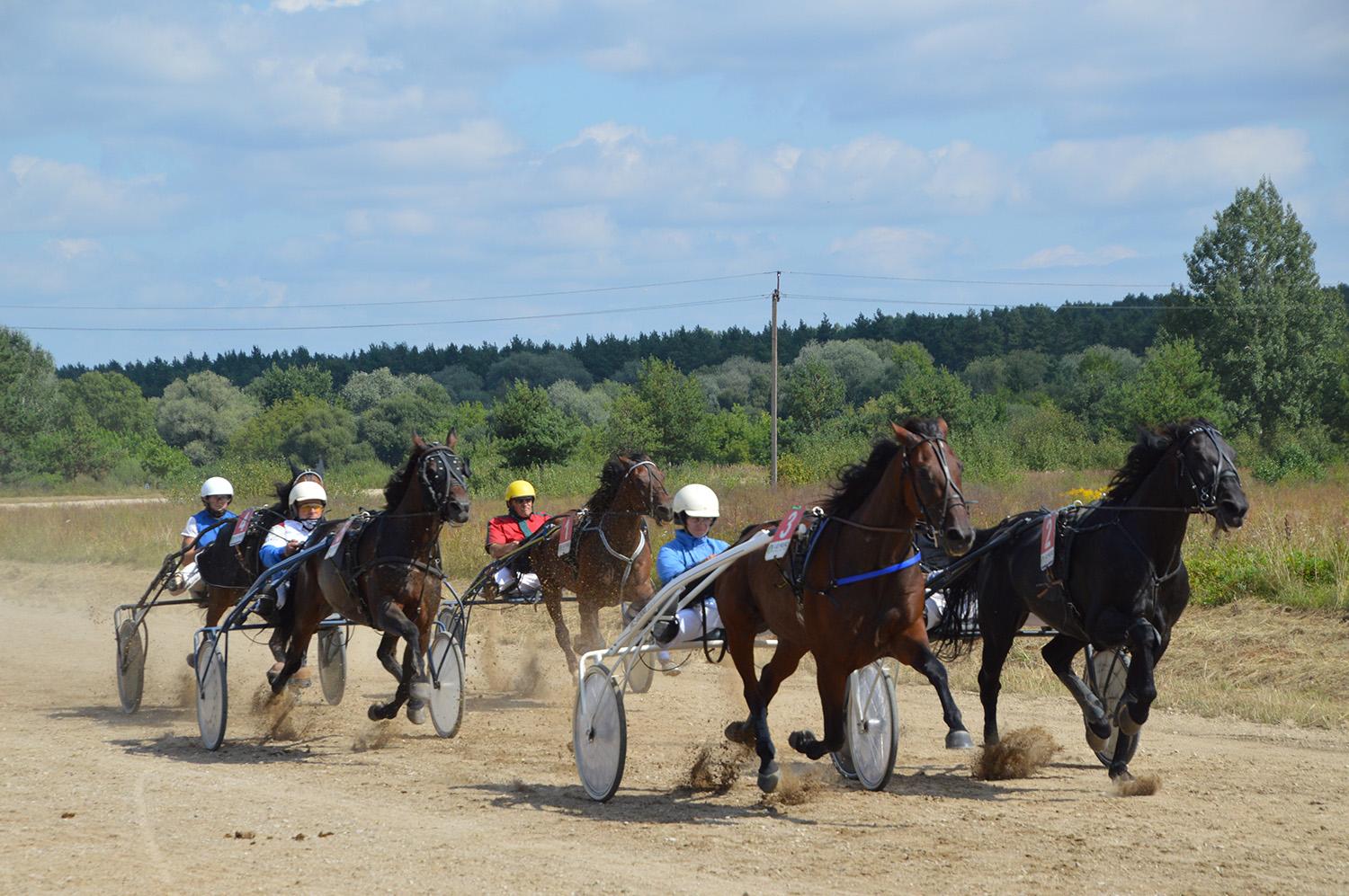Žirgų lenktynėse varžėsi dėl Mero taurės / Autoriaus nuotr. Varžybose pergalei svarbi net sekundės dalis.