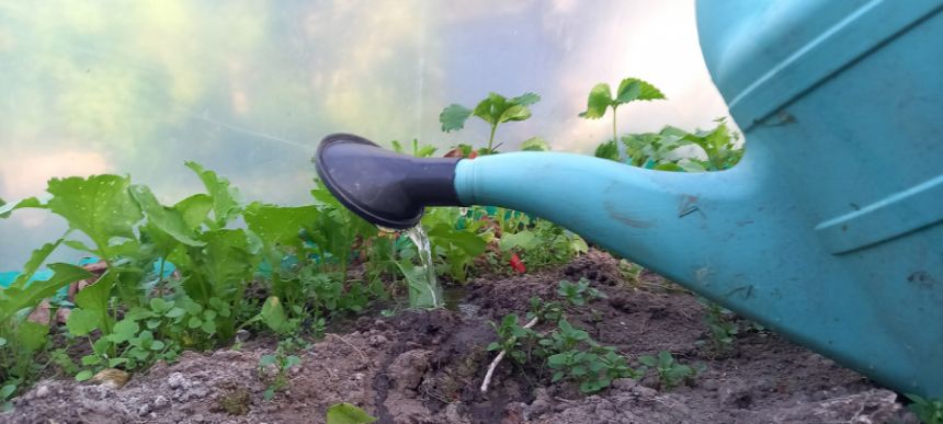 Vandens kasmet suvartojama mažiau