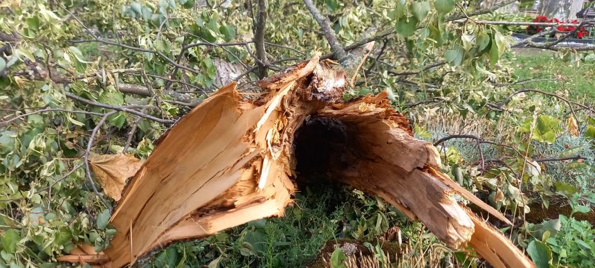 Šiemet galime sulaukti dar daugiau audrų ir liūčių: kaip apsaugoti savo turtą?