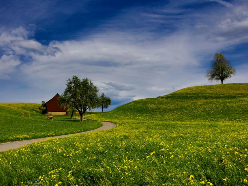 Pavasaris: stogo būklės įvertinimas ir kiti svarbūs darbai nuosavuose namuose ir sodybose