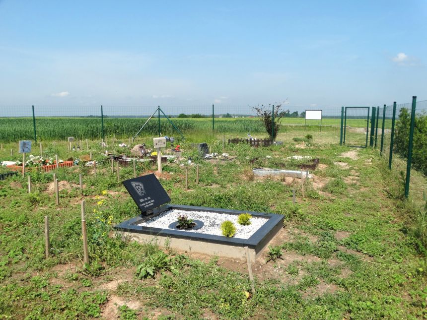 Siūlo rajone steigti gyvūnų augintinių kapines