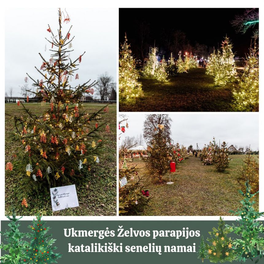 Gražiausia išrinkta želviškių eglutė