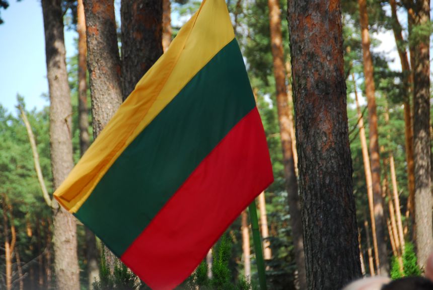 Minimas monsinjoro Alfonso Svarinsko gimimo 100-metis