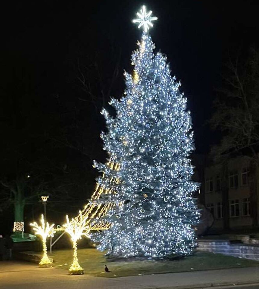Paaiškėjo, kokia kalėdinė eglė šiemet bus įžiebta Ukmergėje