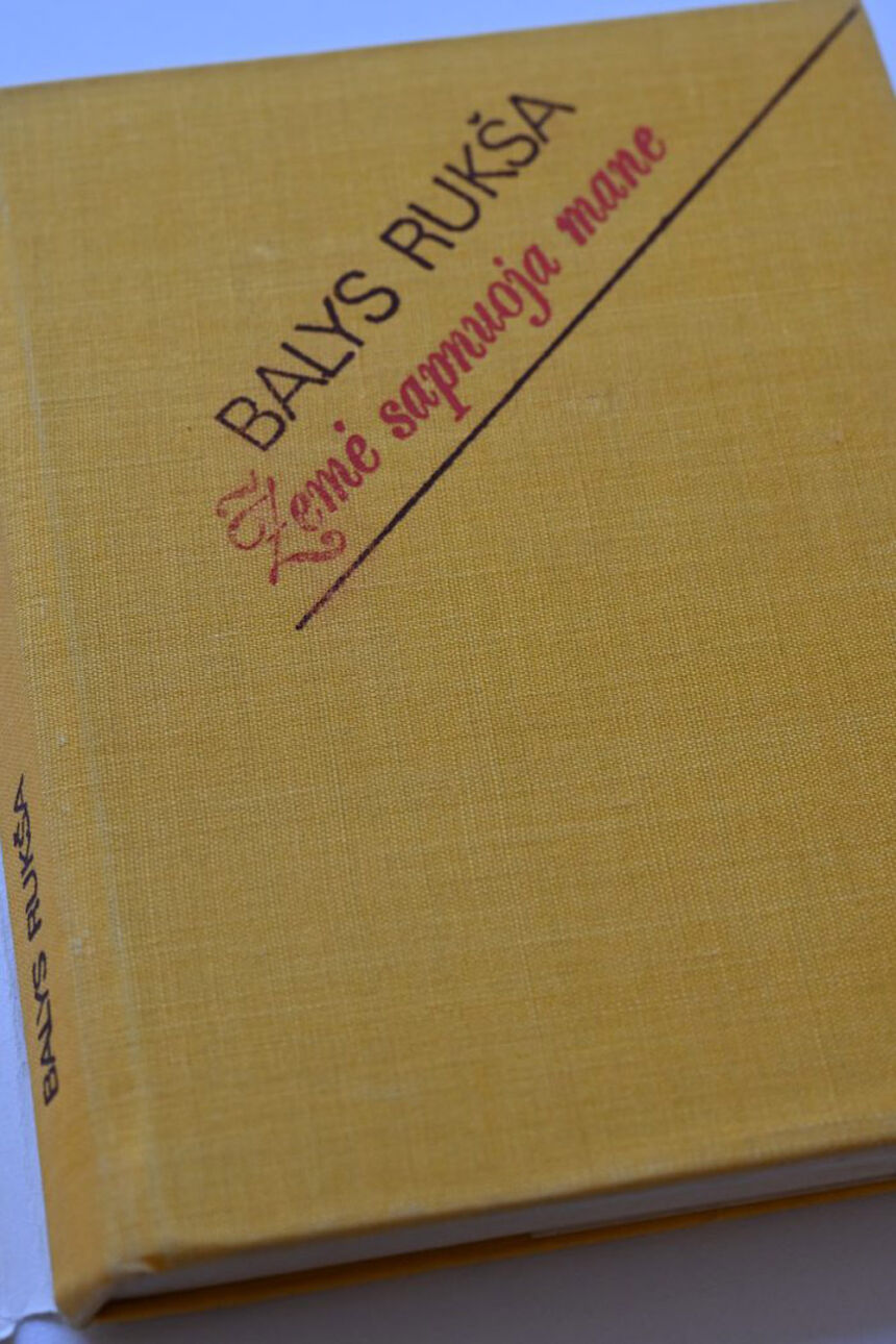 Juos siejo meilė poezijai