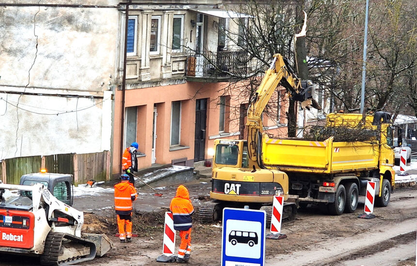 Vilniaus gatvėje nupjautas liepas atsodins
