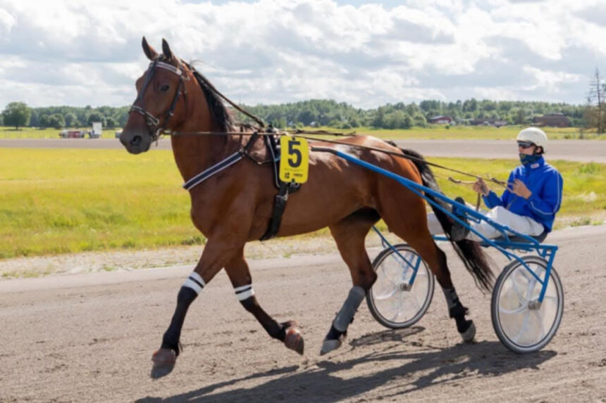 Ukmergiškis – vienas stipriausių žirgų vadeliotojų Baltijos šalyse