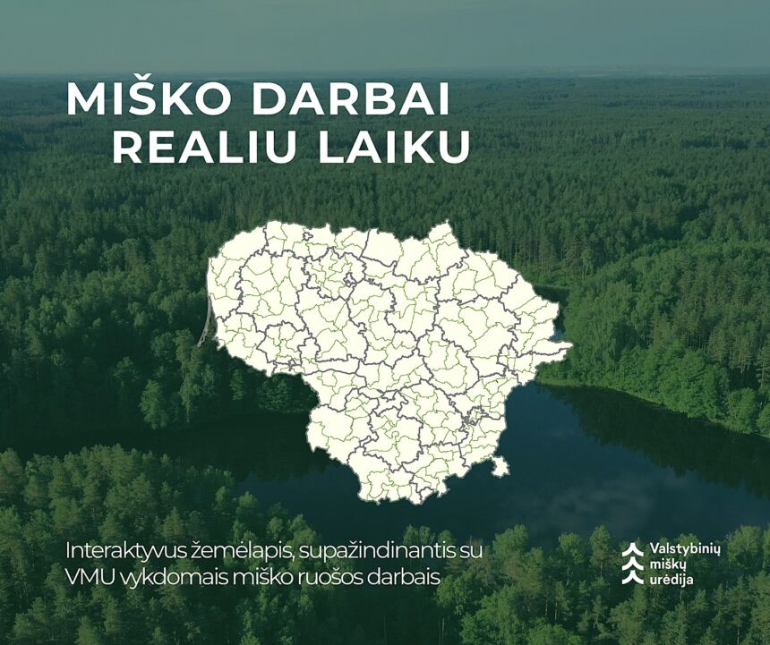 VMU sukūrė interaktyvų kirtimų žemėlapį