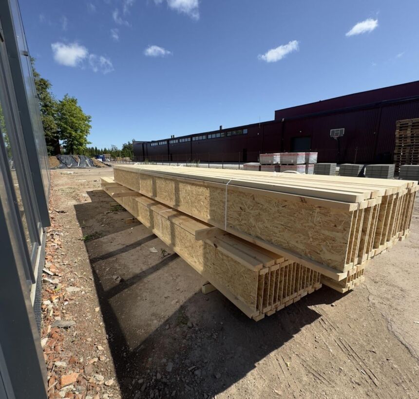 Dvitėjinės sijos: tendencijos ir augantis populiarumas Lietuvoje