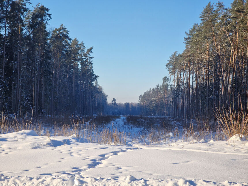 Patvirtinta: Ukmergės rajone bus rengiamas karinės infrastruktūros projektas