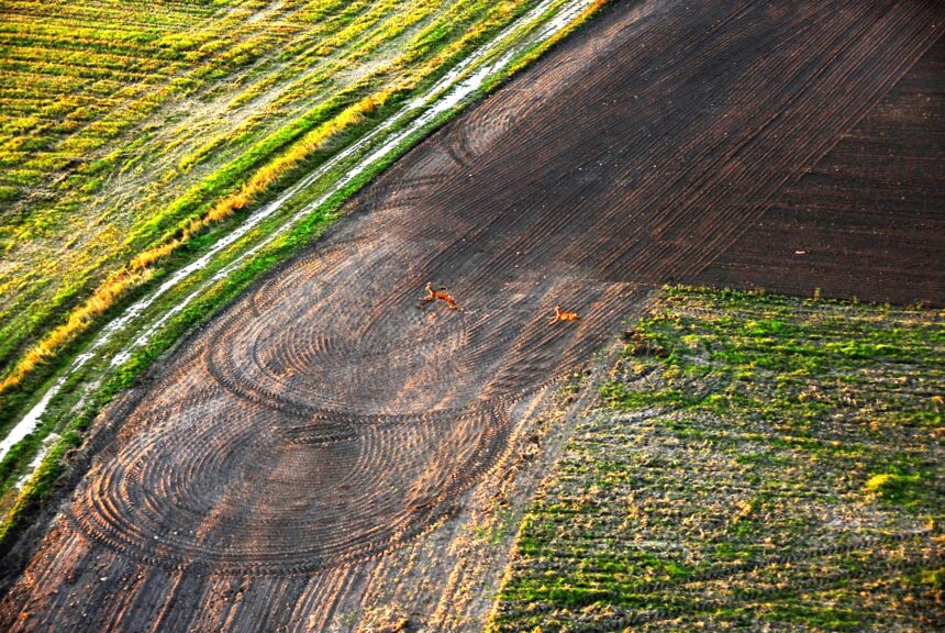 Ginčas dėl žemės: viena šalis teigia, kad jų žemę užgrobė, kita – kad nuomojasi