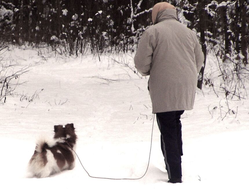 Vedžiojant šunį nepamirškite pasiimti ir maišelio