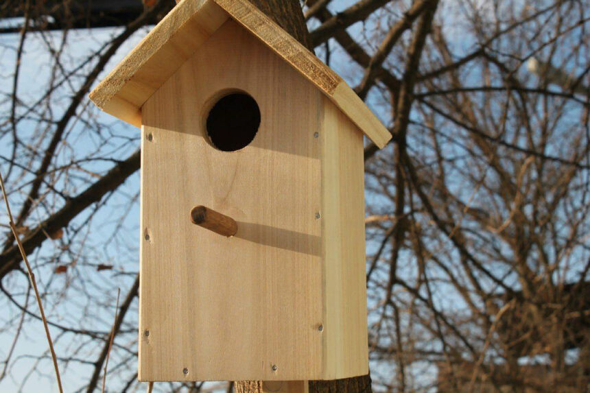 Vyks šventė „Paukščiai grįžta namo“