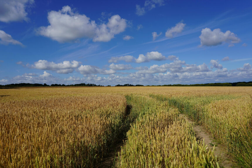 Žemės ūkio naudmenų deklaravimas 2026 m.: kas naujo?