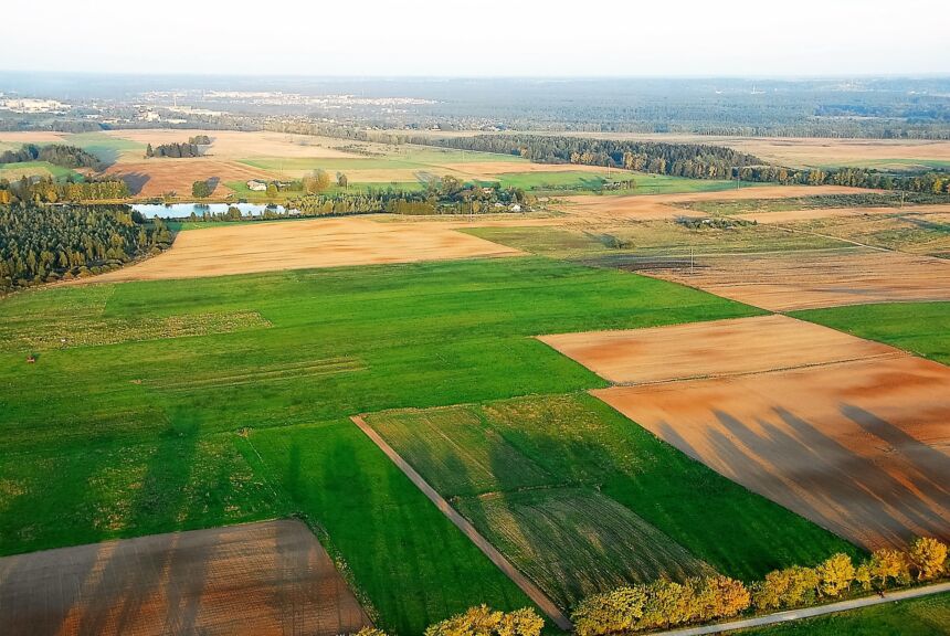 Apleistų žemės ūkio naudmenų plotų mažėja