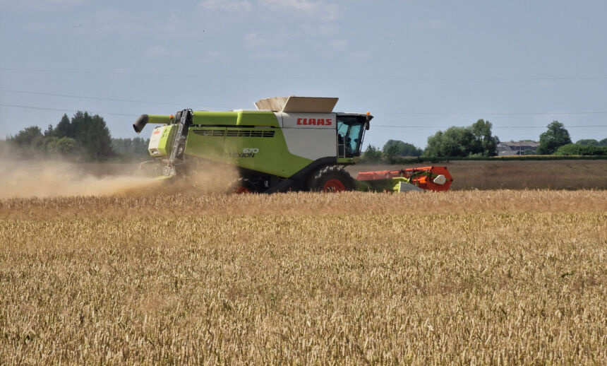 Ukmergės laukuose prasidėjo javapjūtė