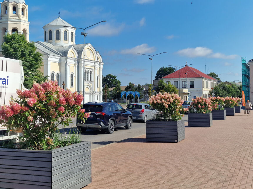 Augalų vazonuose nebeatgaivino – teko keisti kitais