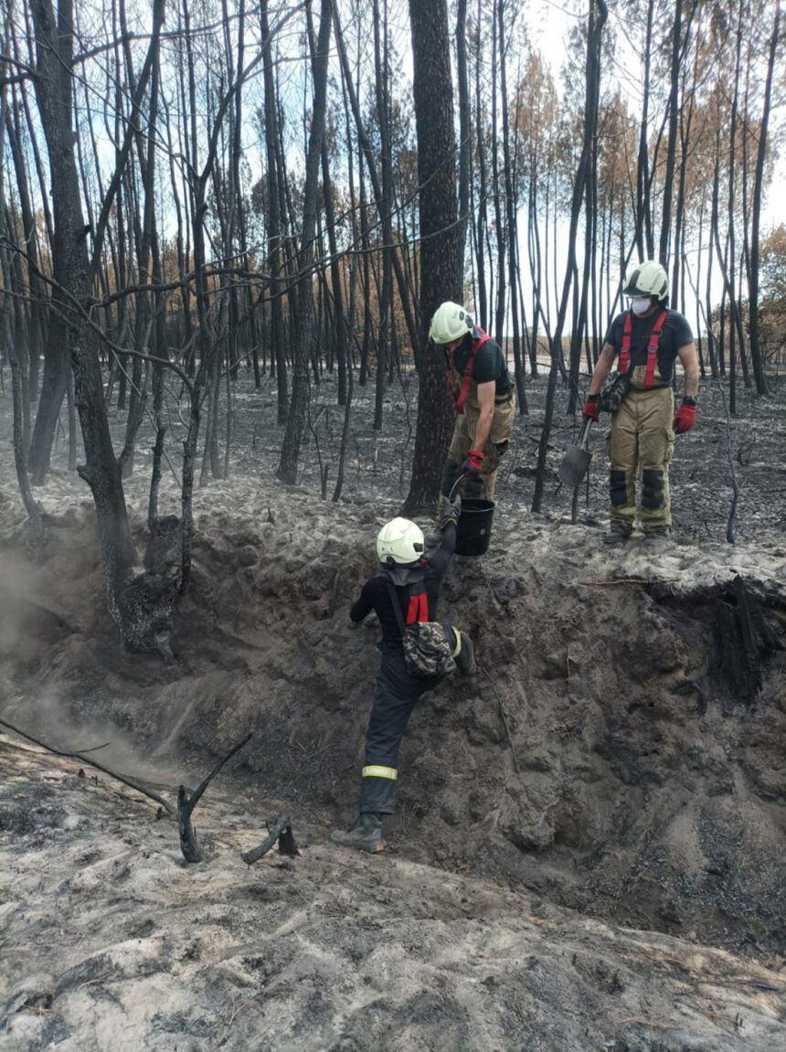 Gaisrų pragarą Prancūzijoje pamatė iš arti