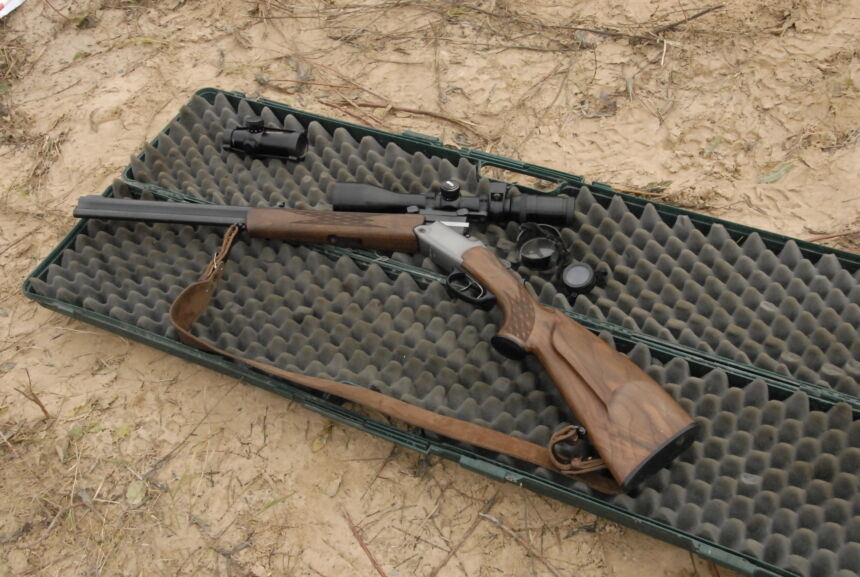 Briedžių sumedžiojimo limitas Ukmergei – 89